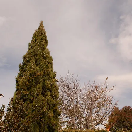 Alto Santiago Сантьяго-дель-Кольядо