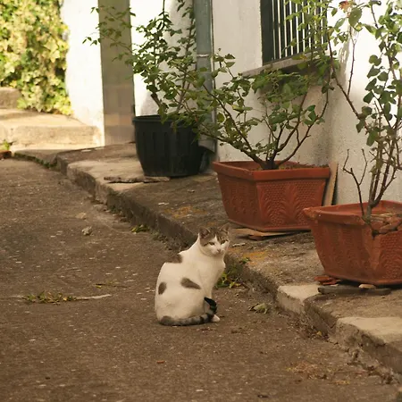 Alto Santiago * Santiago del Collado