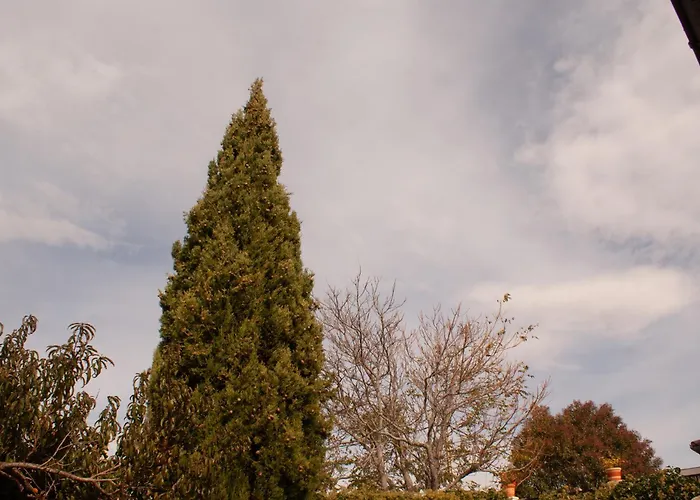 Alto Santiago Santiago del Collado