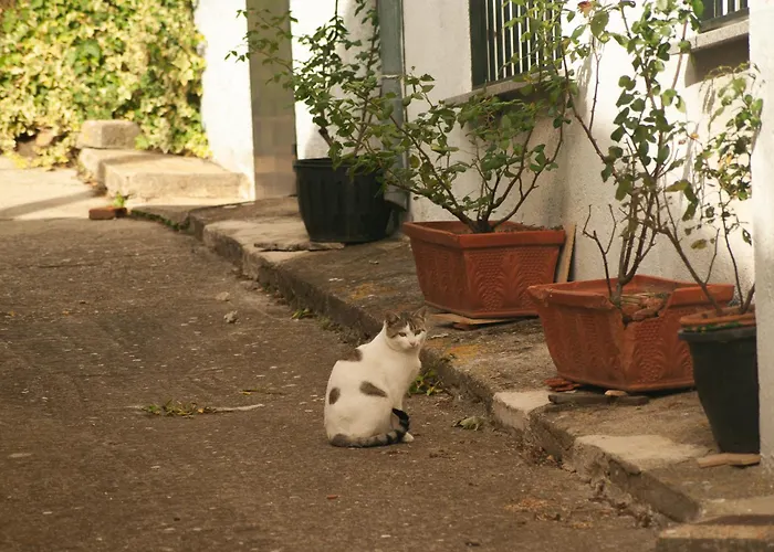 Alto Santiago * Santiago del Collado